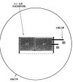 2025年6月3日 (二) 13:23版本的缩略图